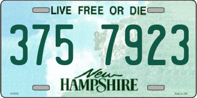 NH license plate 3757923