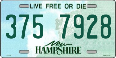 NH license plate 3757928