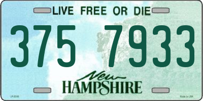 NH license plate 3757933