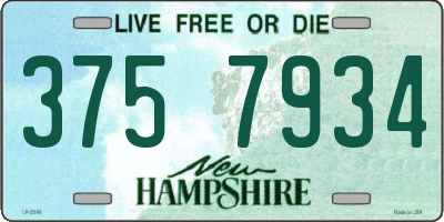 NH license plate 3757934