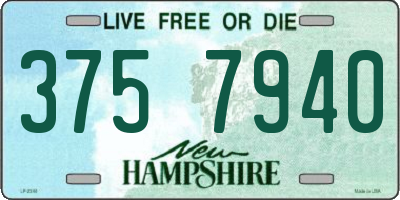 NH license plate 3757940