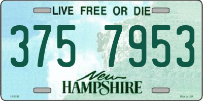 NH license plate 3757953