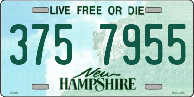 NH license plate 3757955