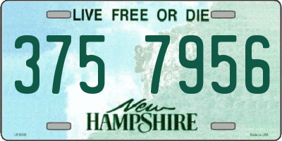 NH license plate 3757956