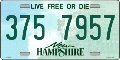 NH license plate 3757957