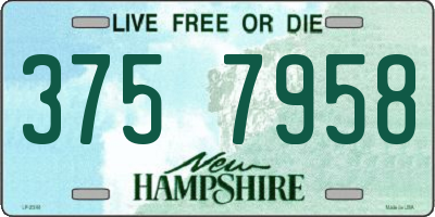 NH license plate 3757958