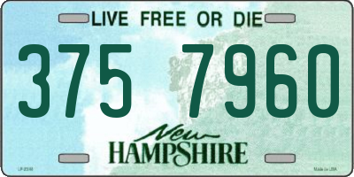 NH license plate 3757960