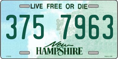 NH license plate 3757963