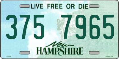 NH license plate 3757965