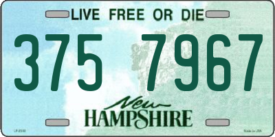 NH license plate 3757967