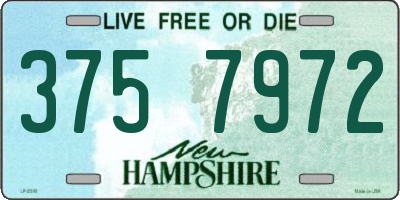 NH license plate 3757972