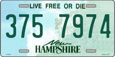 NH license plate 3757974