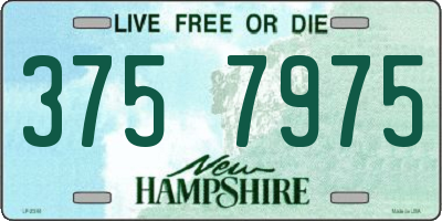 NH license plate 3757975