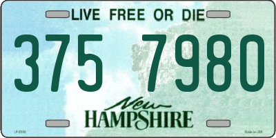 NH license plate 3757980