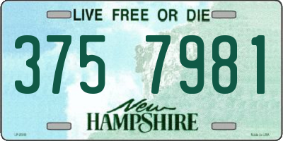 NH license plate 3757981