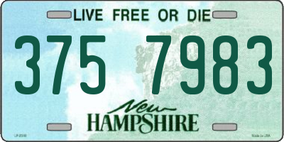 NH license plate 3757983