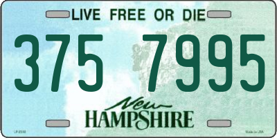 NH license plate 3757995