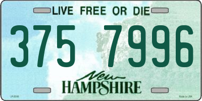 NH license plate 3757996