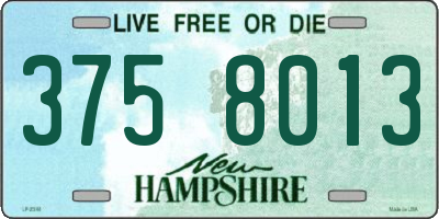 NH license plate 3758013