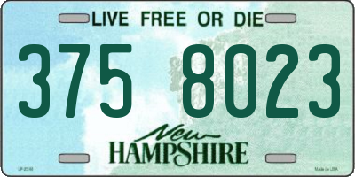 NH license plate 3758023