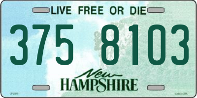 NH license plate 3758103
