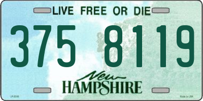 NH license plate 3758119