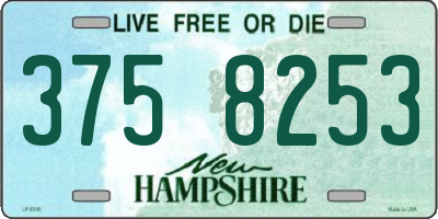 NH license plate 3758253