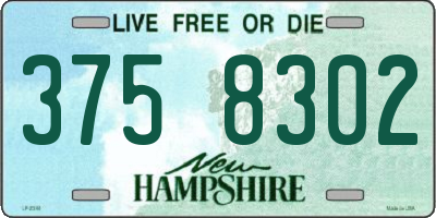 NH license plate 3758302