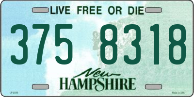NH license plate 3758318