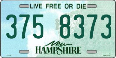 NH license plate 3758373