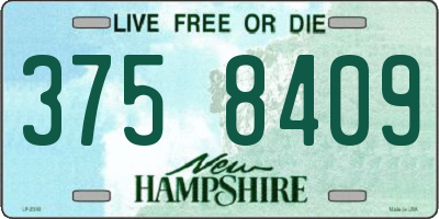 NH license plate 3758409