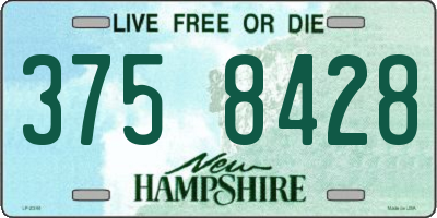 NH license plate 3758428