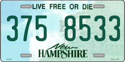 NH license plate 3758533