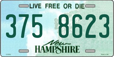 NH license plate 3758623