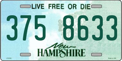 NH license plate 3758633