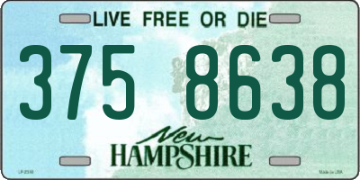 NH license plate 3758638