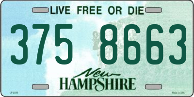 NH license plate 3758663