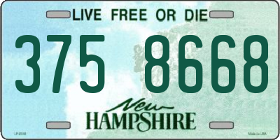 NH license plate 3758668