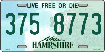 NH license plate 3758773