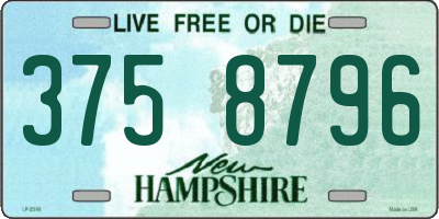 NH license plate 3758796