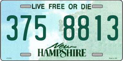 NH license plate 3758813