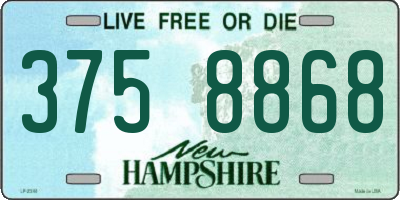 NH license plate 3758868