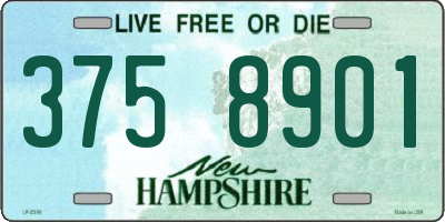 NH license plate 3758901