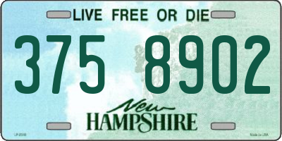 NH license plate 3758902