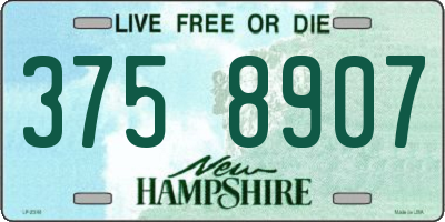 NH license plate 3758907