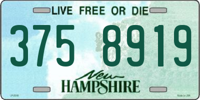 NH license plate 3758919