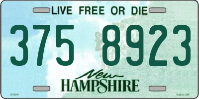 NH license plate 3758923