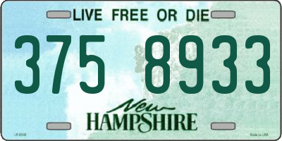 NH license plate 3758933