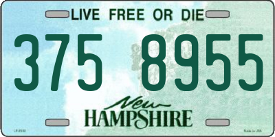 NH license plate 3758955