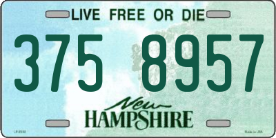 NH license plate 3758957